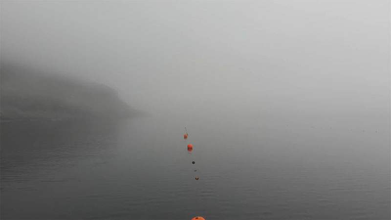 I.-Macroalgal production