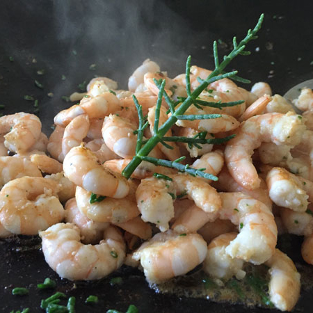 II.-Integrated Multi-Trophic Aquaculture (IMTA): land-based and sea-based, new species and systems