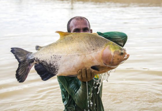 V.-Optimised production of finfish species