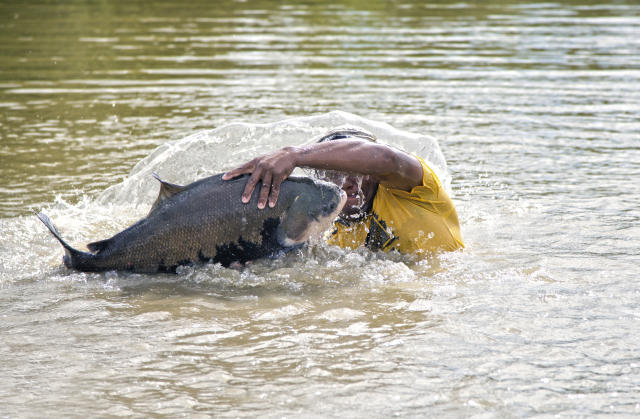 V.-Optimised production of finfish species