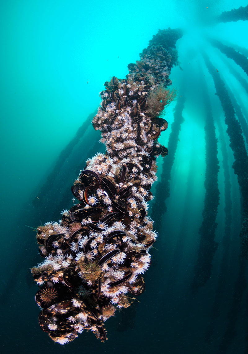 VI.-Cross-cutting issues