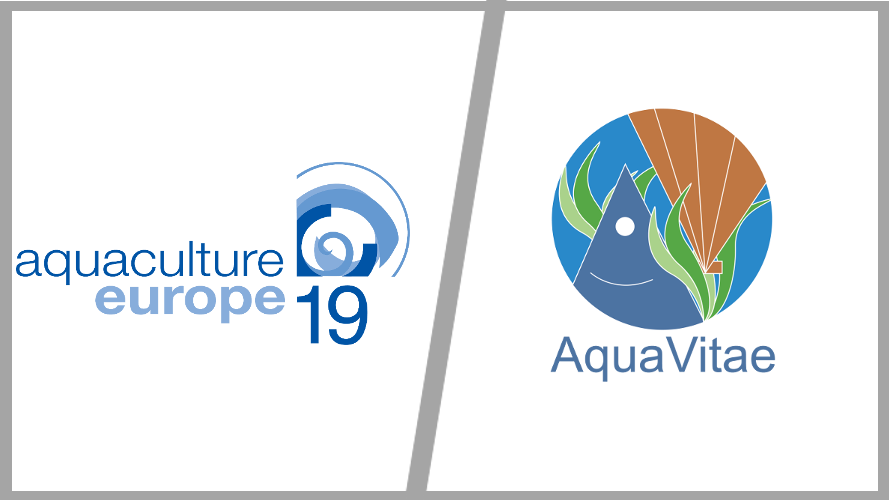 AquaVitae presentation in Aquaculture Europe