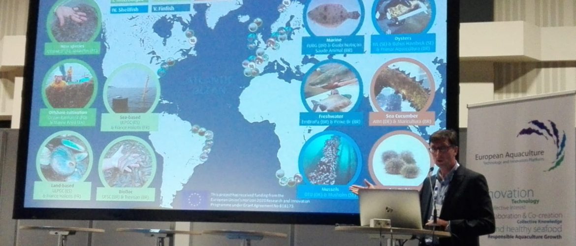 Philip James, AquaVitae coordinator and Nofima researcher, presenting AquaVitae in the EATIP day at Aquaculture Europe 2019.