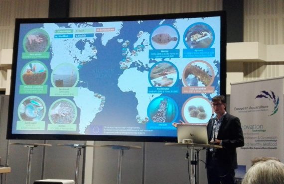 Philip James, AquaVitae coordinator and Nofima researcher, presenting AquaVitae in the EATIP day at Aquaculture Europe 2019.