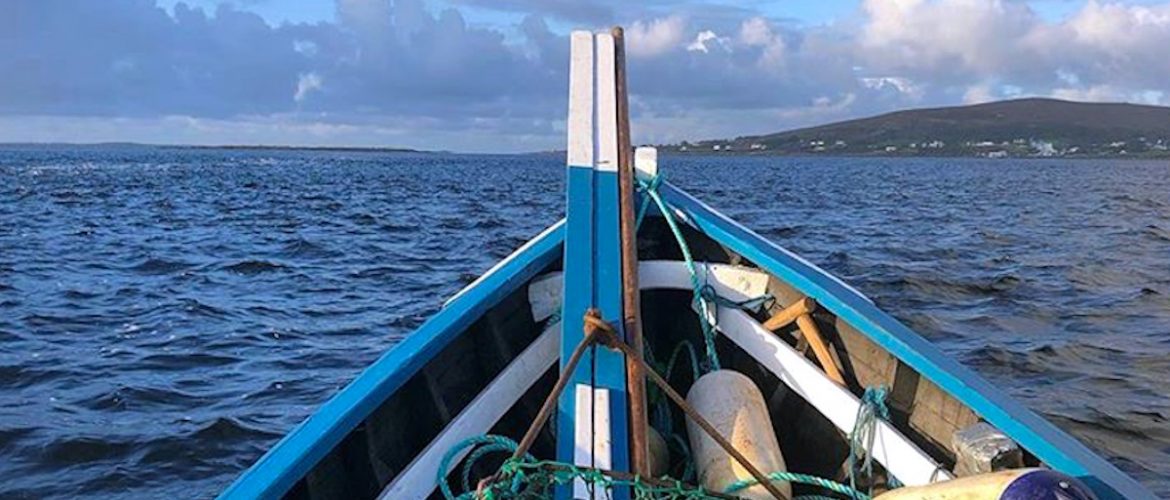 Habitat survey in Galway (Ireland) by GMIT. Photo by Colin Hannon.