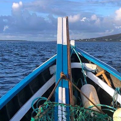 Habitat survey in Galway (Ireland) by GMIT. Photo by Colin Hannon.