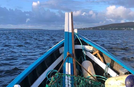 Habitat survey in Galway (Ireland) by GMIT. Photo by Colin Hannon.
