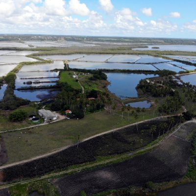 Aerial view from Primar Aquacultura area. Photo credit: Erich Matos Rodrigues.