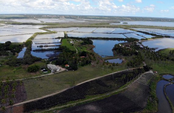 Aerial view from Primar Aquacultura area. Photo credit: Erich Matos Rodrigues.