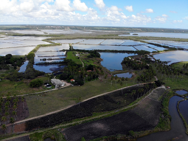 Aerial view from Primar Aquacultura area. Photo credit: Erich Matos Rodrigues.