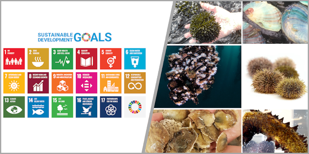 Survey on SDGs and low-trophic aquaculture.