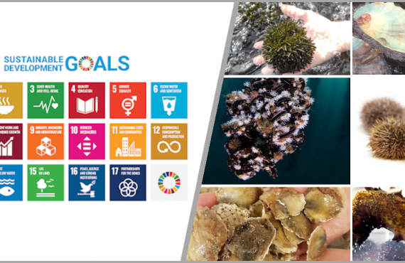 Survey on SDGs and low-trophic aquaculture.