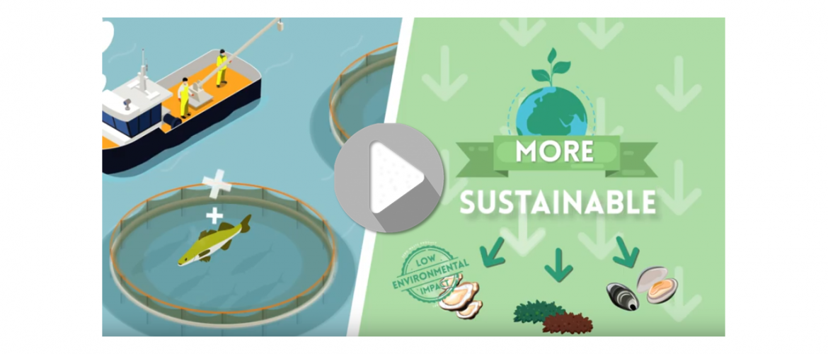 Screenshot from AquaVitae project movie.