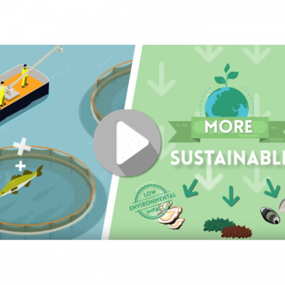 Screenshot from AquaVitae project movie.