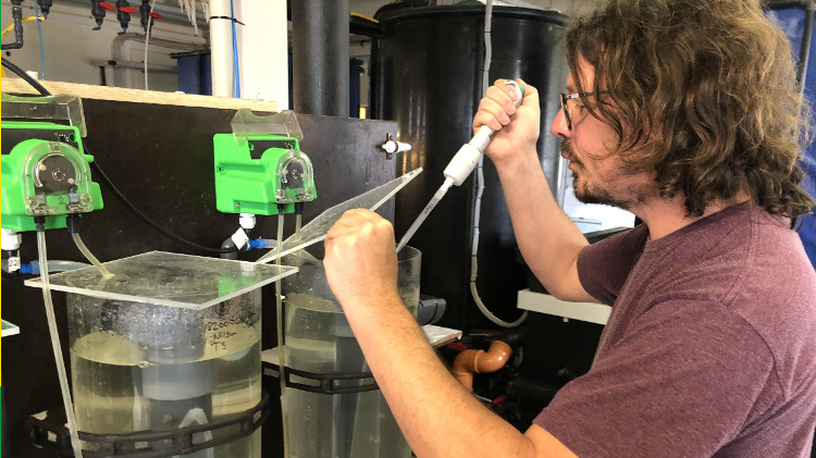 Pascal Barreau, aquaculture technician in DTU hatchery. Photo: Camille Saurel, DTU.