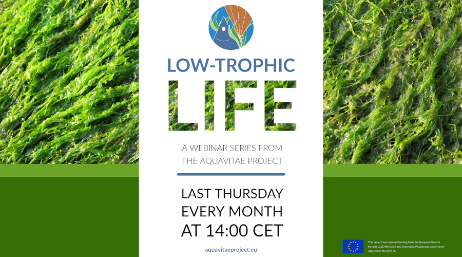 Low Trophic Life Webinar: “Seaweed as key components in pond IMTA systems”