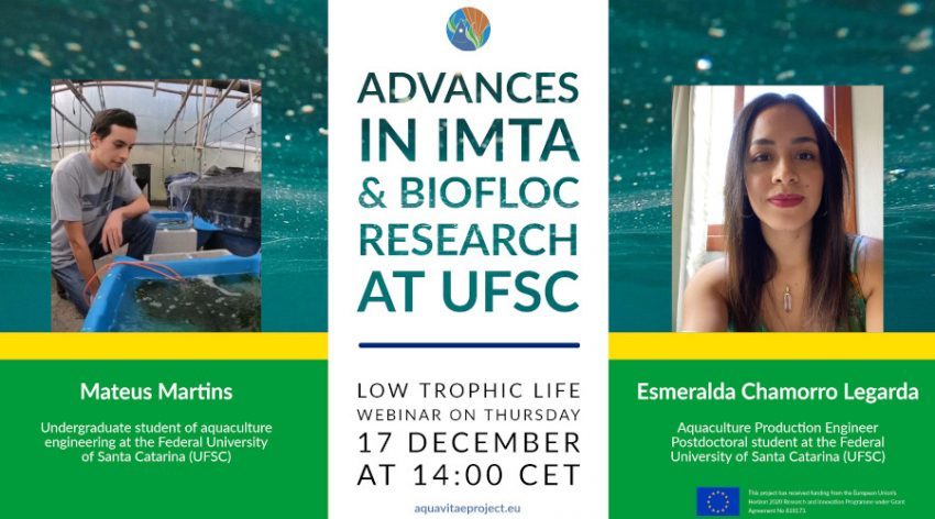 Low Trophic Life Webinar: “Advances in IMTA & Biofloc. Research at UFSC”