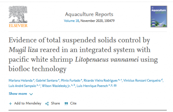 Evidence of total suspended solids control by Mugil liza reared in an integrated system with pacific white shrimp Litopenaeus vannamei using biofloc technology