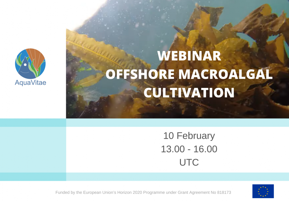 Case study meeting: Offshore macroalgae cultivation