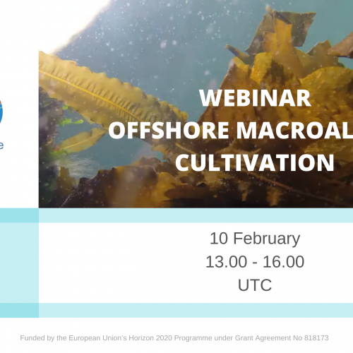 Case study meeting: Offshore macroalgae cultivation