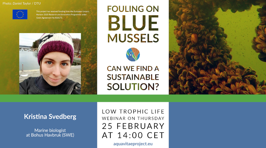 Low Trophic Life Webinar: “Fouling on blue mussels”