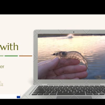 AquaVitae webinar Advances in IMTA and Biofloc research at UFSC.