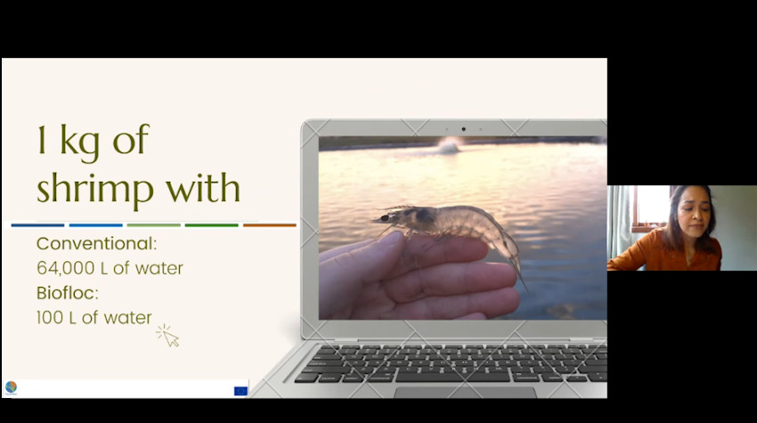 AquaVitae webinar Advances in IMTA and Biofloc research at UFSC.