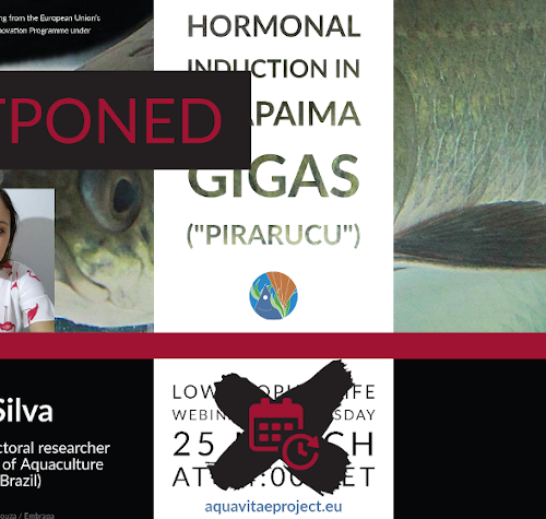 Low Trophic Life Webinar: “Hormonal induction in Arapaima Gigas (Pirarucu)”