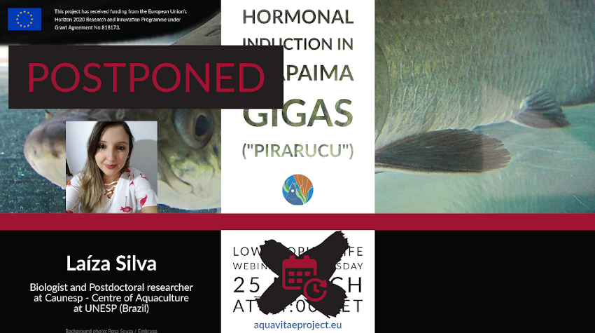Low Trophic Life Webinar: “Hormonal induction in Arapaima Gigas (Pirarucu)”