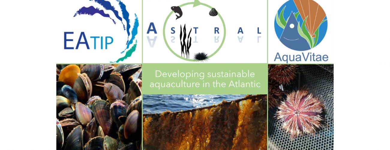 Developing Sustainable Aquaculture in the Atlantic