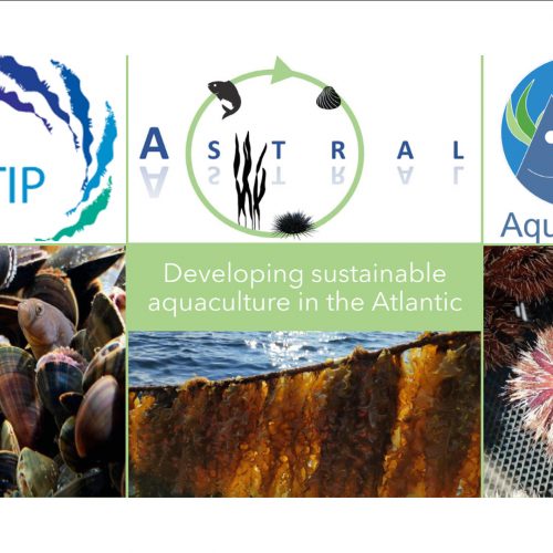 Developing Sustainable Aquaculture in the Atlantic