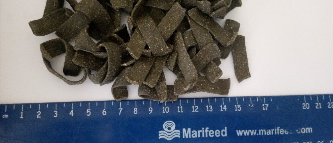 Abalone pellets with IMTA seaweed.