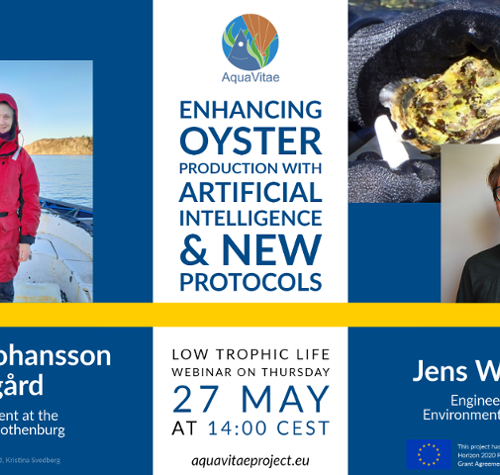 Low Trophic Life Webinar: “Enhancing oyster production with artificial intelligence & new protocols”