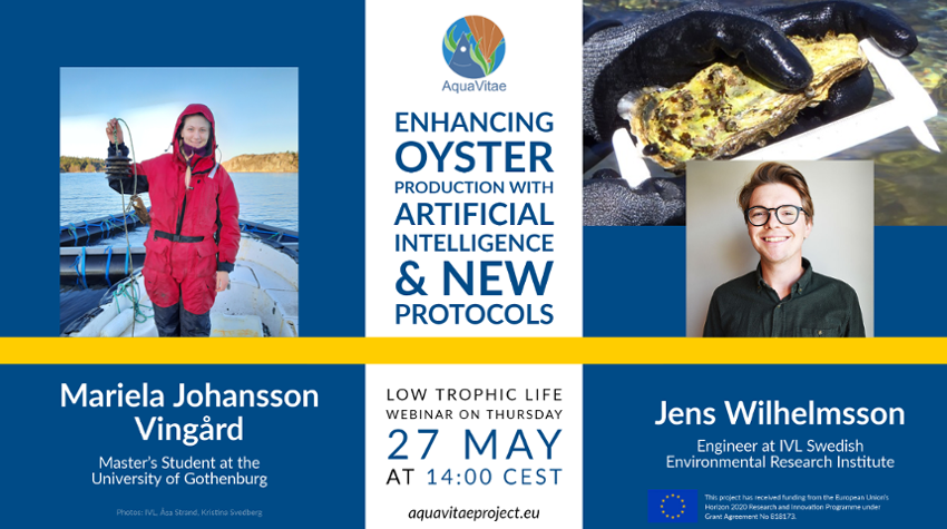 Low Trophic Life Webinar: “Enhancing oyster production with artificial intelligence & new protocols”