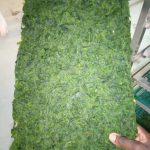 Dried Ulva species. By Emmanuel Falade (Rhodes Univ. - South Africa).