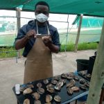 Abalone sampling (South Africa). By Cliff jones, Univ. of Rhodes.)