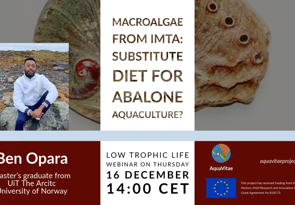 Low Trophic Life Webinar: “Macroalgae from IMTA: Substitute Diet for Abalone Aquaculture?”