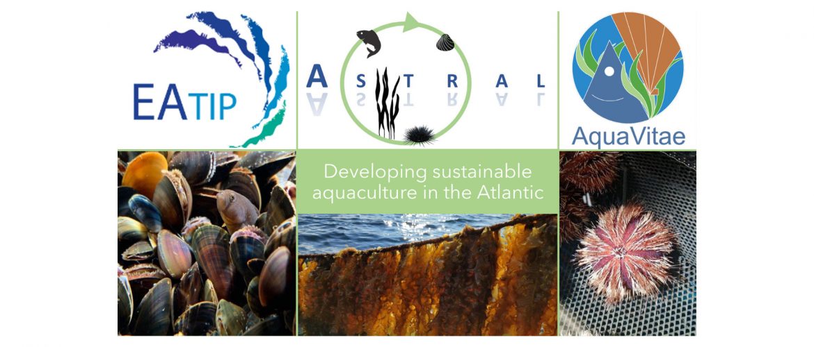 all atlantic side event with eatip, astran and aquavitae