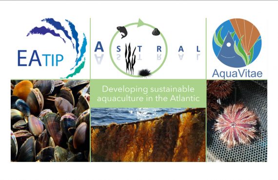 all atlantic side event with eatip, astran and aquavitae