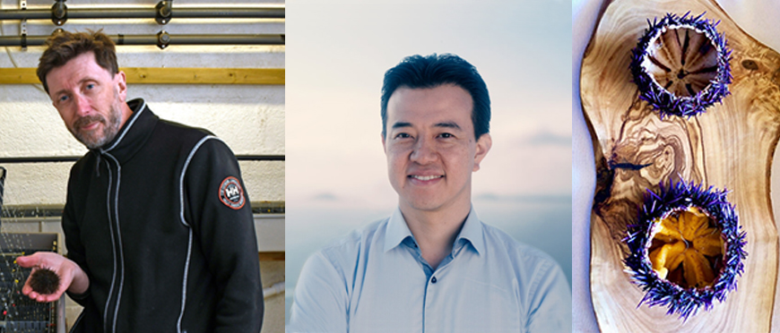 urchinomics endorsement by UN Ocean Decade