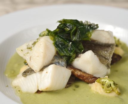 ALGAplus_dish ALGAplus_dish