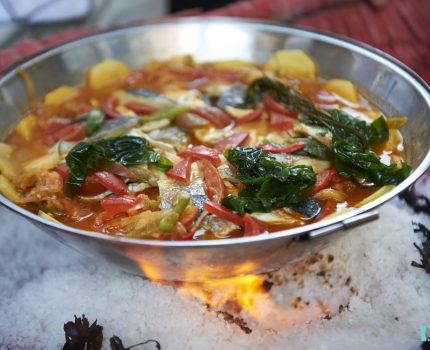 ALGAplus_dish_2 ALGAplus_dish_2