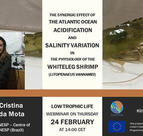 Low Trophic Life Webinar: “The Synergic Effect of the Atlantic Ocean Acidification and Salinity Variation in the Physiology of the Whiteleg Shrimp (Litopenaeus vannamei)”