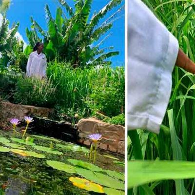 IMTA backyard in South Africa