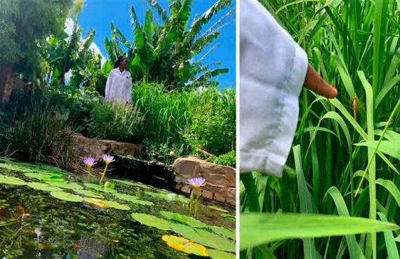 IMTA backyard in South Africa