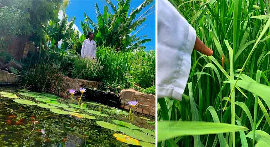 IMTA backyard in South Africa