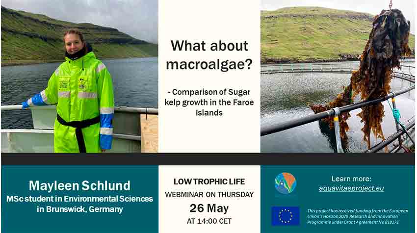 Low Trophic Life Webinar: “What about macroalgae? Comparison of Sugar Kelp growth in the Faroe islands”