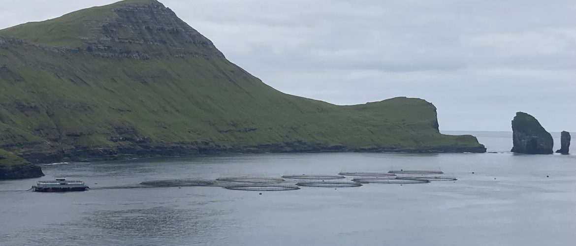 IMTA site at Faroe Islands