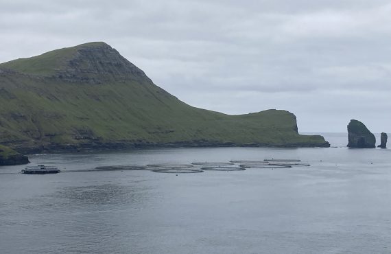 IMTA site at Faroe Islands
