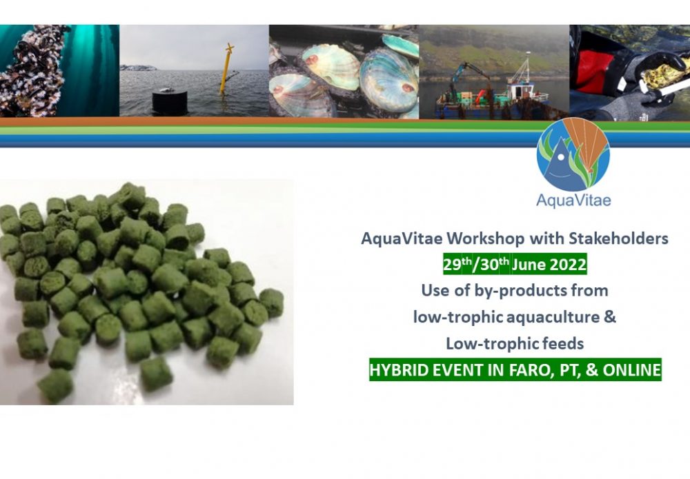 AquaVitae Workshop with Stakeholders (CS12 & CS13)